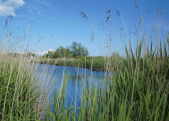 Spacious Corsica Stay For 8 Near Beach Appartement