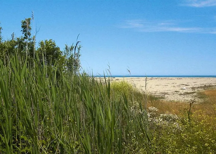 Spacious Corsica Stay For 8 Near Beach *