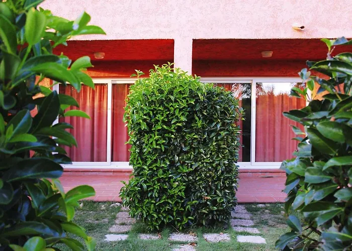 Appartement Spacious Corsica Stay For 8 Near Beach *