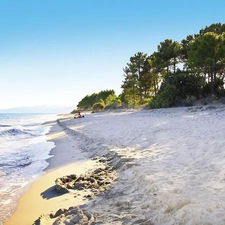 Spacious Corsica For 8 Near Apartment Ghisonaccia