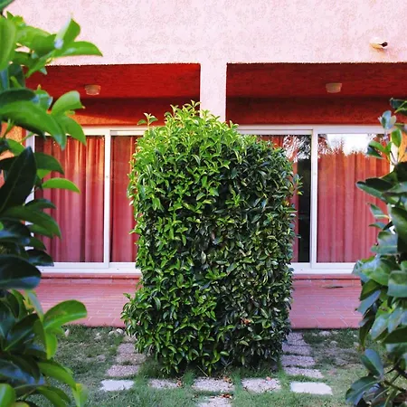 Spacious Corsica For 8 Near *