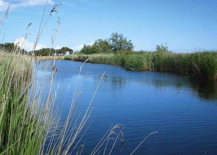 Résidence Marina Corsa, Ghisonaccia, Apt with balcony or small garden Appartamento Ghisonaccia